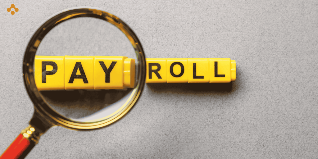 HRMS vs payroll software: Which one does your business need?