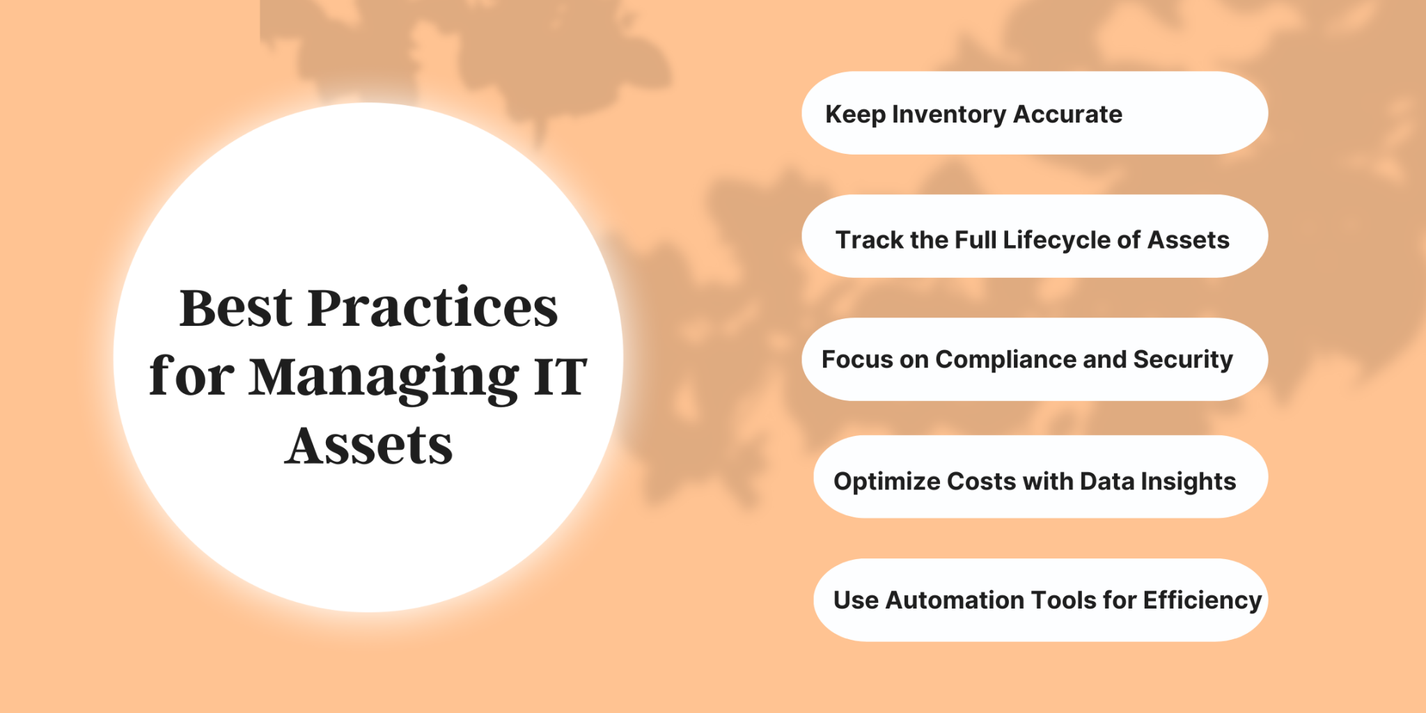 Asset Management Software | Best Practices for IT Assets